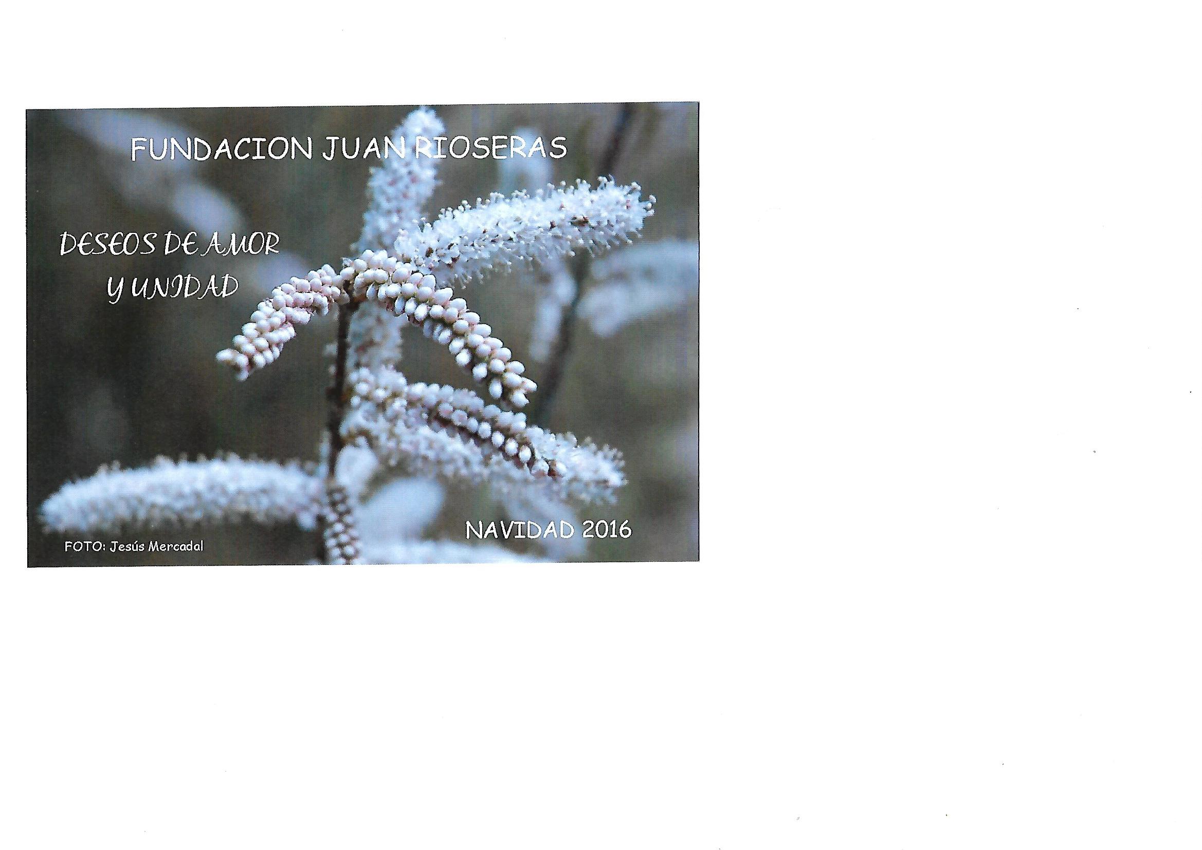 navidad 2016.jpg